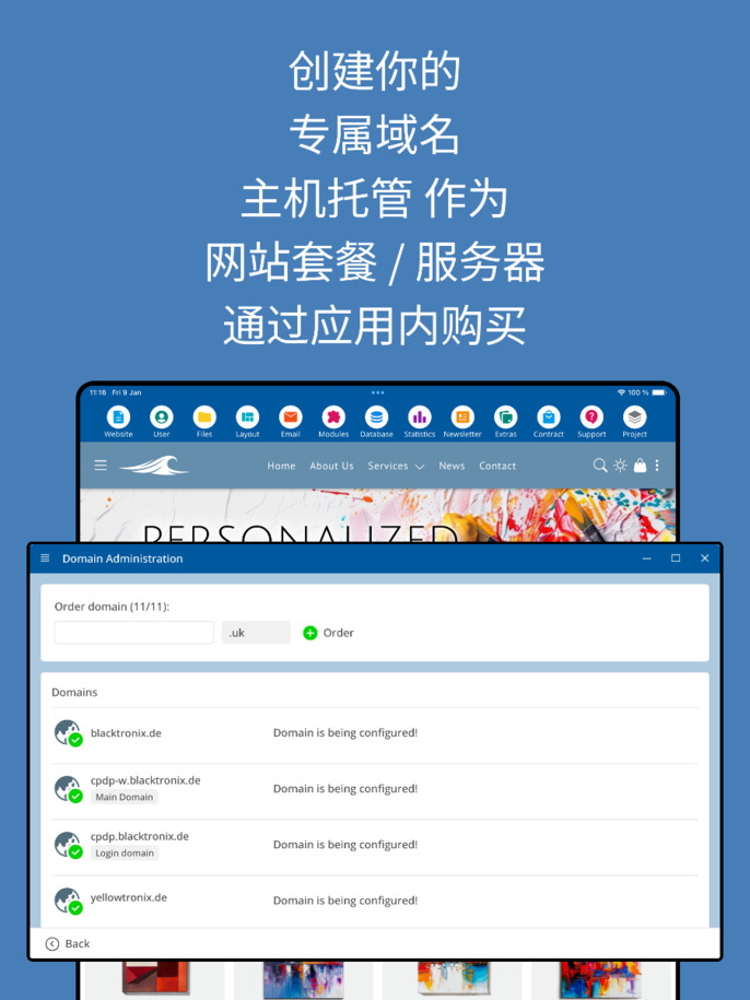 应用程序中的域管理 - 平板截图